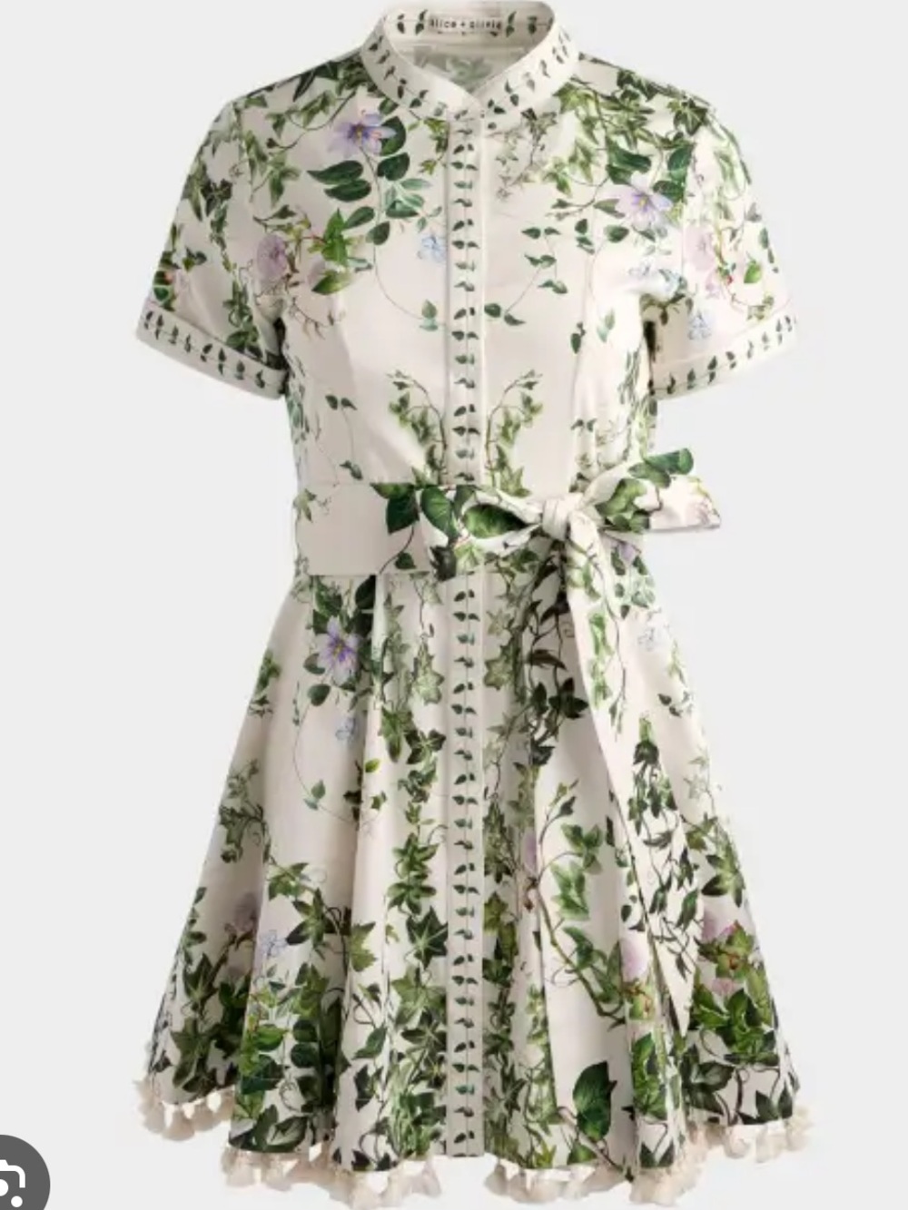 Alice + Olivia Lucy Mini Dress in Ivy Romance 6
